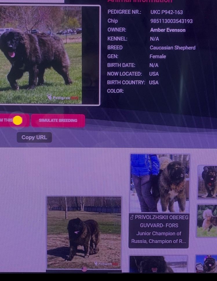 Responsible Breeding Practices