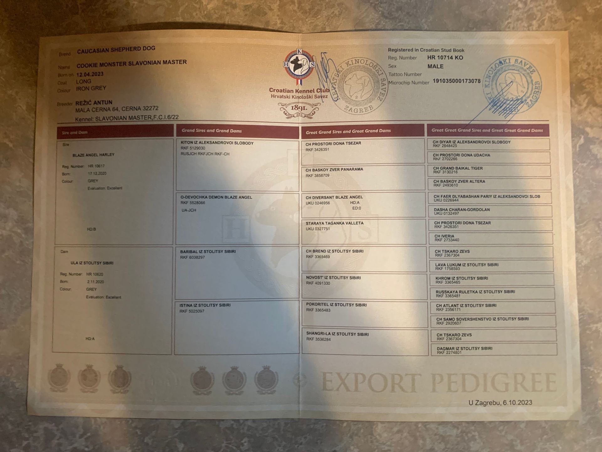 Caucasian Shepherd Expertise